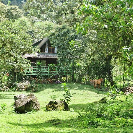 Mindo Eco Chalet Con Rio Y Cascada Ngoại thất bức ảnh