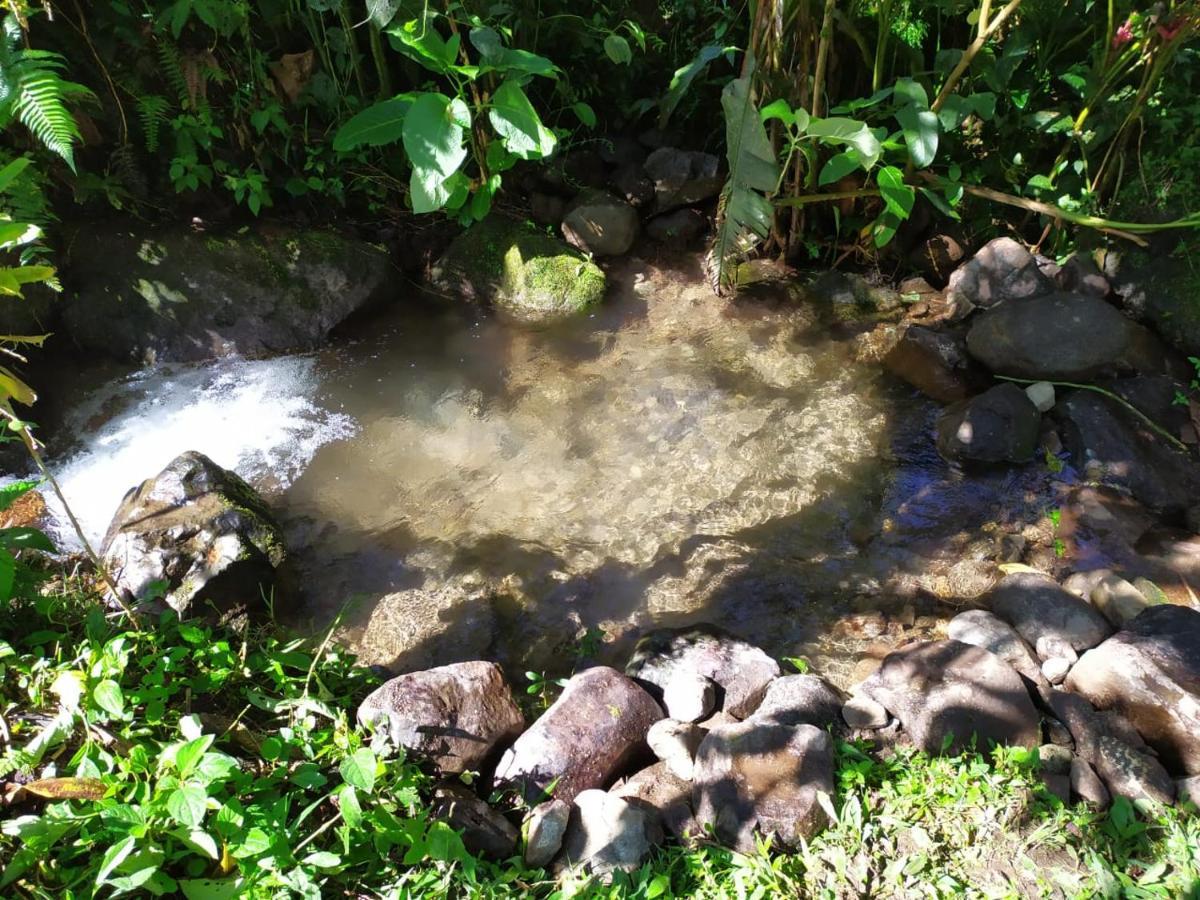 Mindo Eco Chalet Con Rio Y Cascada Ngoại thất bức ảnh