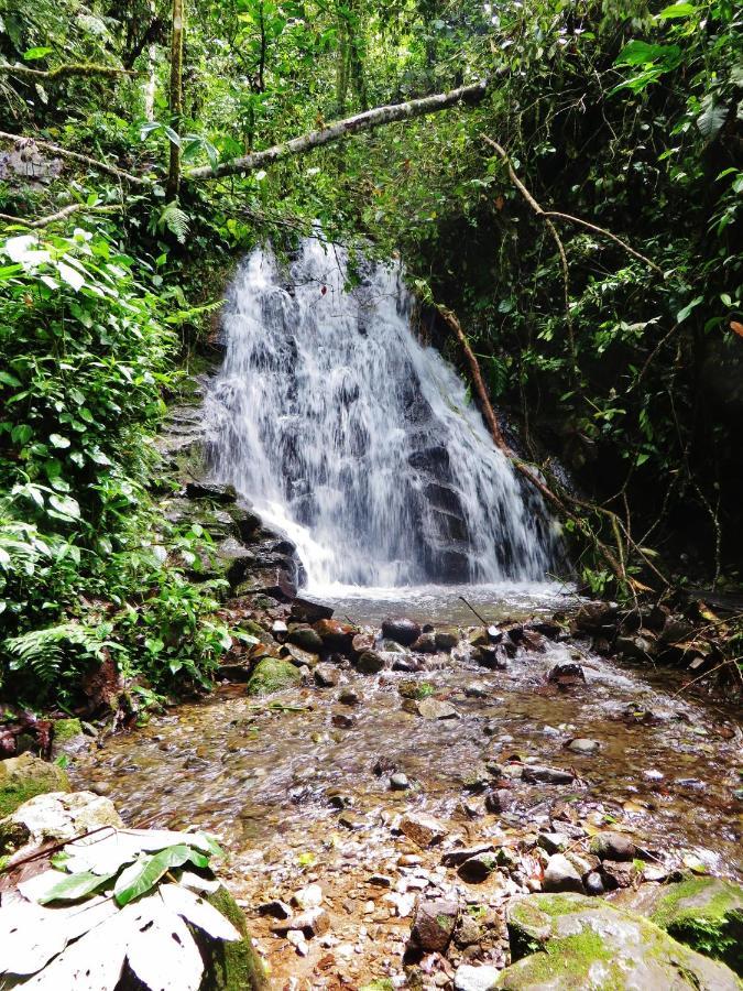 Mindo Eco Chalet Con Rio Y Cascada Ngoại thất bức ảnh