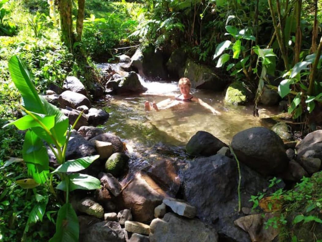 Mindo Eco Chalet Con Rio Y Cascada Ngoại thất bức ảnh
