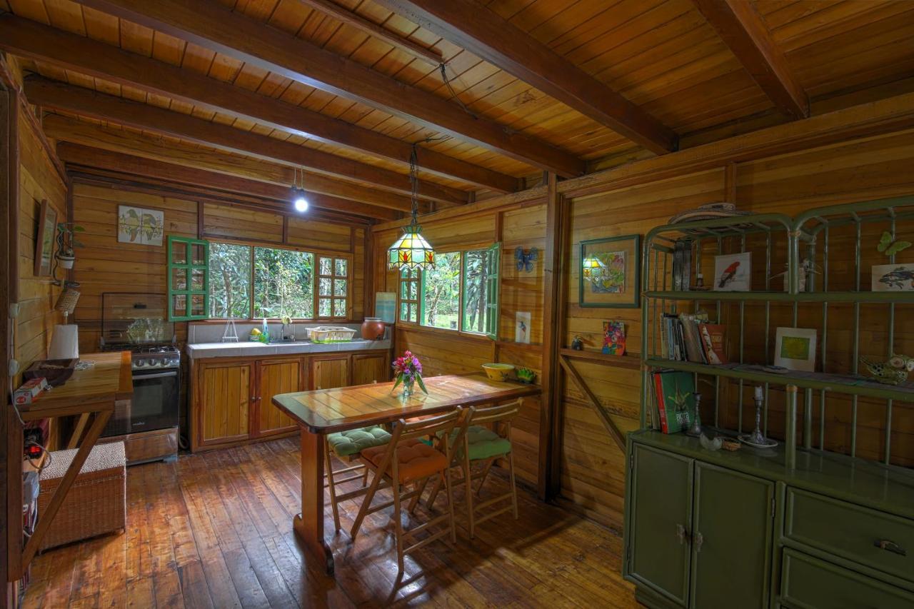 Mindo Eco Chalet Con Rio Y Cascada Ngoại thất bức ảnh