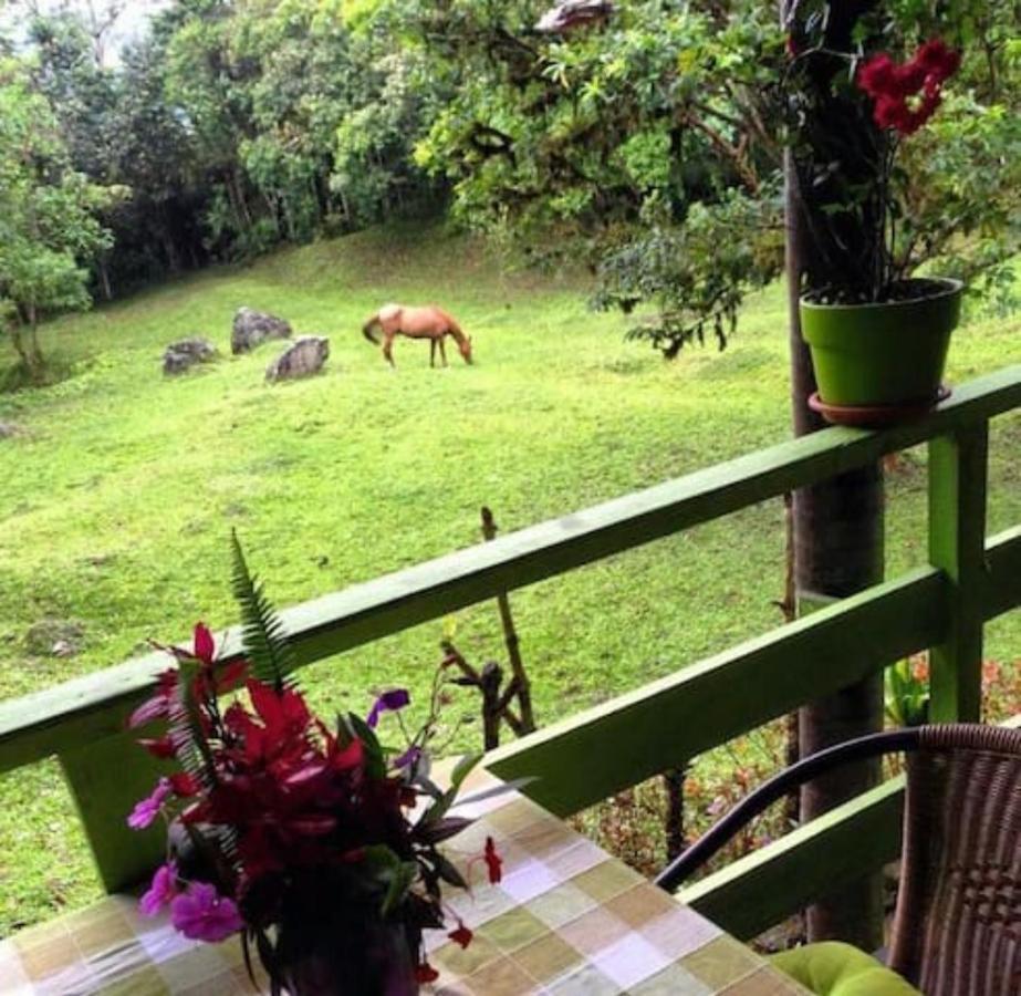 Mindo Eco Chalet Con Rio Y Cascada Ngoại thất bức ảnh