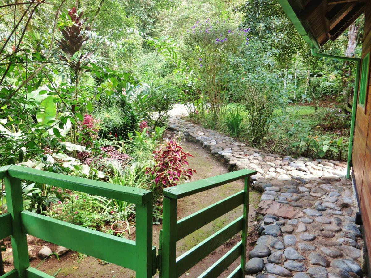Mindo Eco Chalet Con Rio Y Cascada Ngoại thất bức ảnh