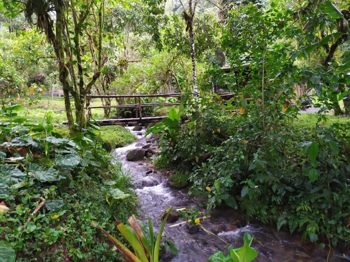 Mindo Eco Chalet Con Rio Y Cascada Ngoại thất bức ảnh