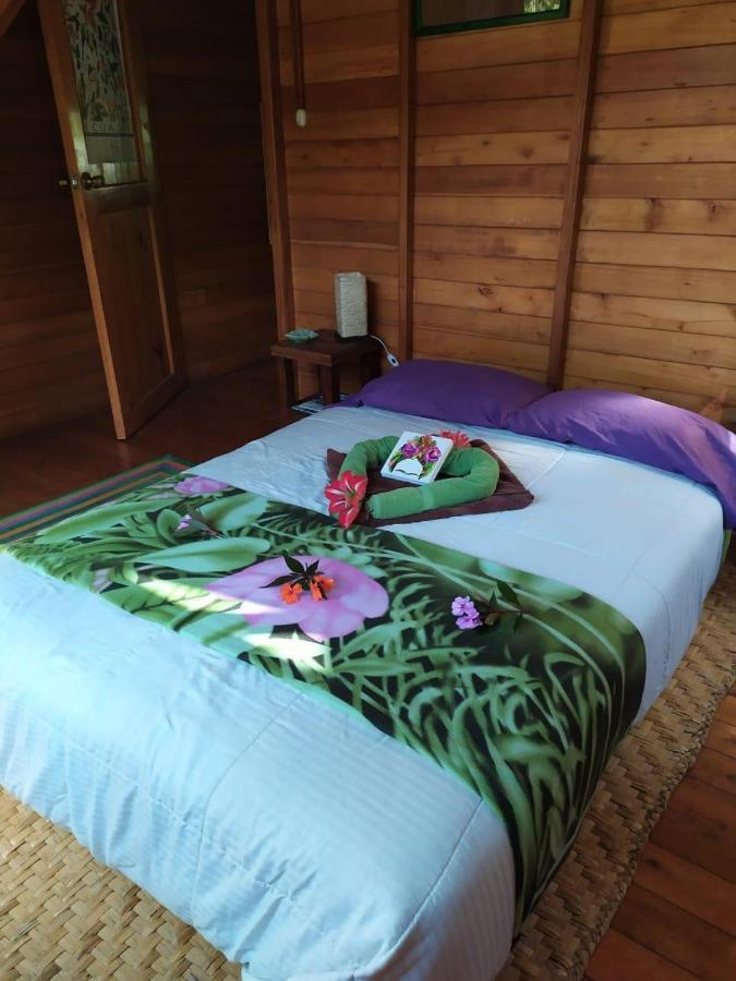 Mindo Eco Chalet Con Rio Y Cascada Ngoại thất bức ảnh