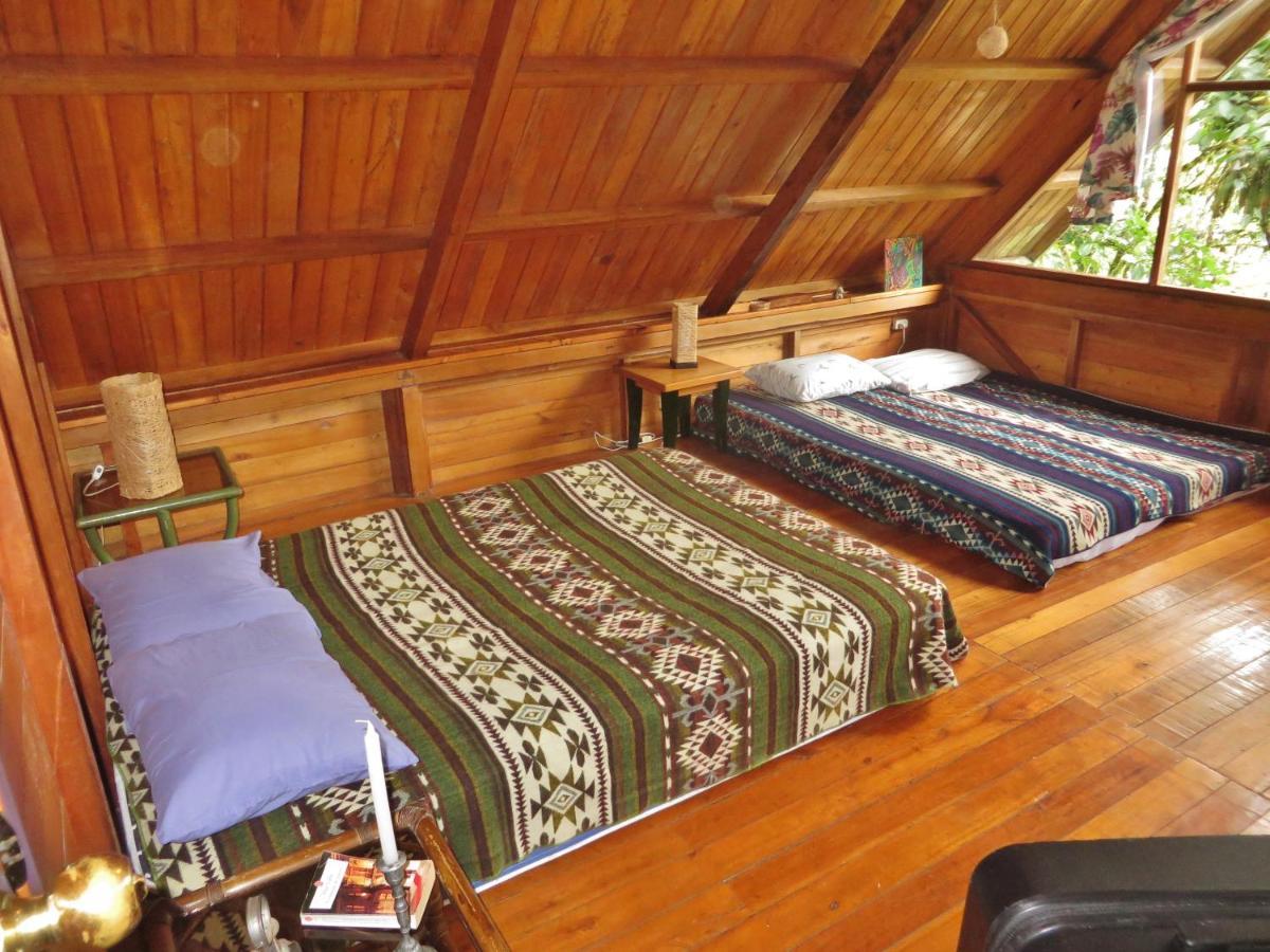 Mindo Eco Chalet Con Rio Y Cascada Ngoại thất bức ảnh