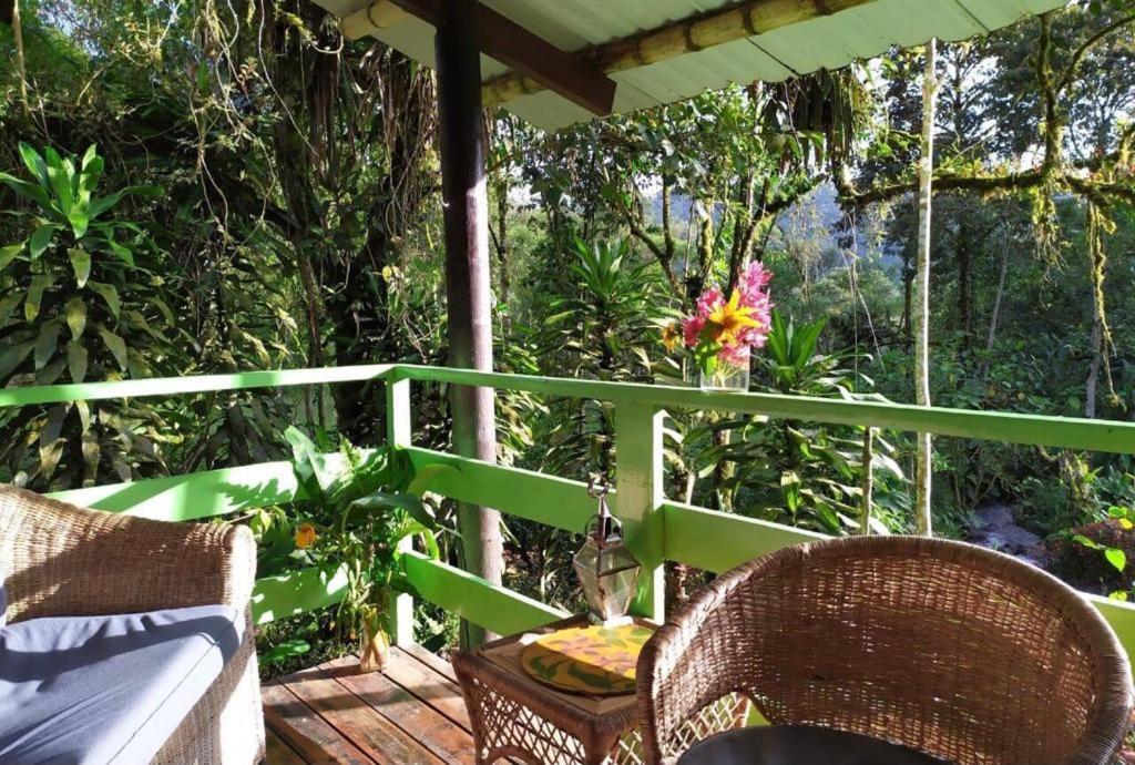 Mindo Eco Chalet Con Rio Y Cascada Ngoại thất bức ảnh