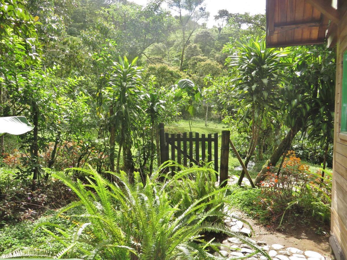 Mindo Eco Chalet Con Rio Y Cascada Ngoại thất bức ảnh