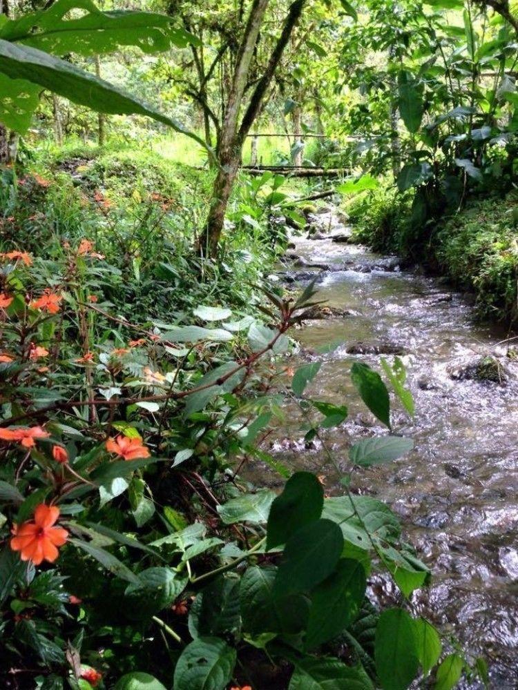 Mindo Eco Chalet Con Rio Y Cascada Ngoại thất bức ảnh