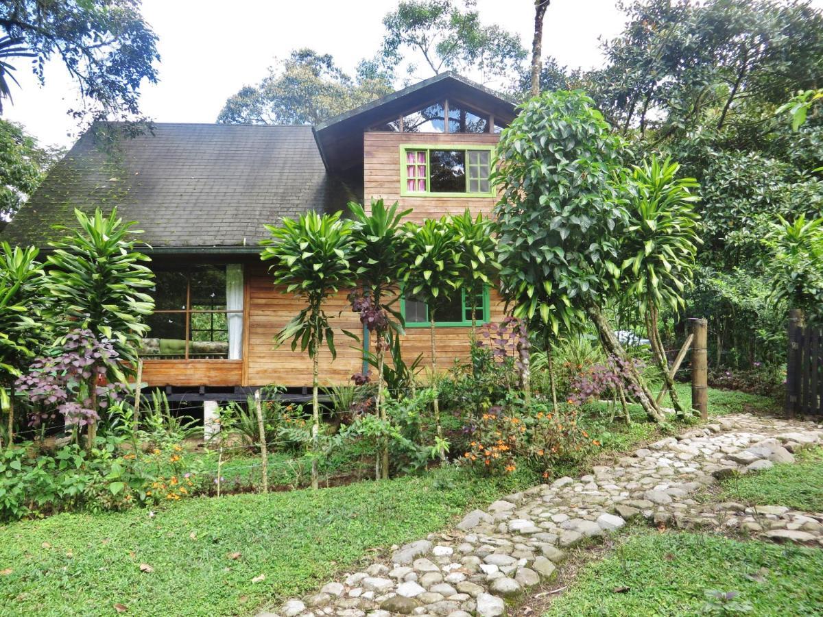 Mindo Eco Chalet Con Rio Y Cascada Ngoại thất bức ảnh