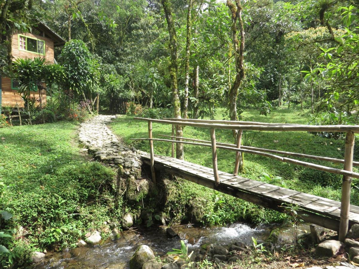 Mindo Eco Chalet Con Rio Y Cascada Ngoại thất bức ảnh