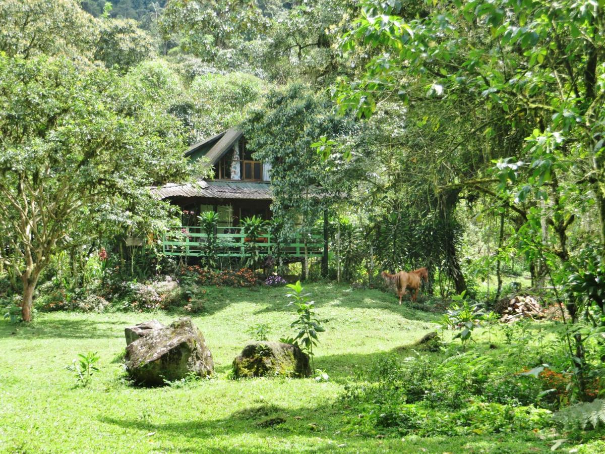 Mindo Eco Chalet Con Rio Y Cascada Ngoại thất bức ảnh