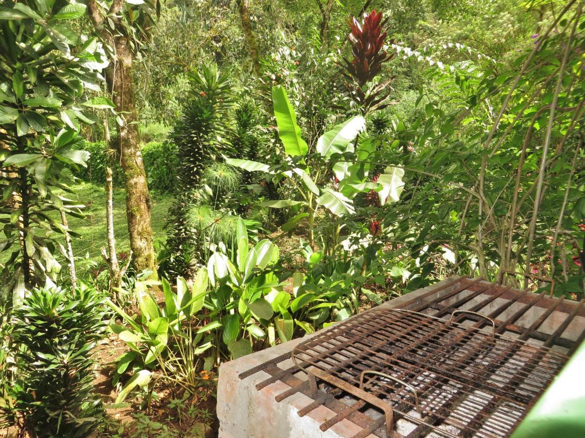 Mindo Eco Chalet Con Rio Y Cascada Ngoại thất bức ảnh