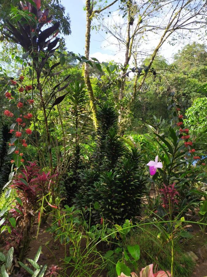 Mindo Eco Chalet Con Rio Y Cascada Ngoại thất bức ảnh