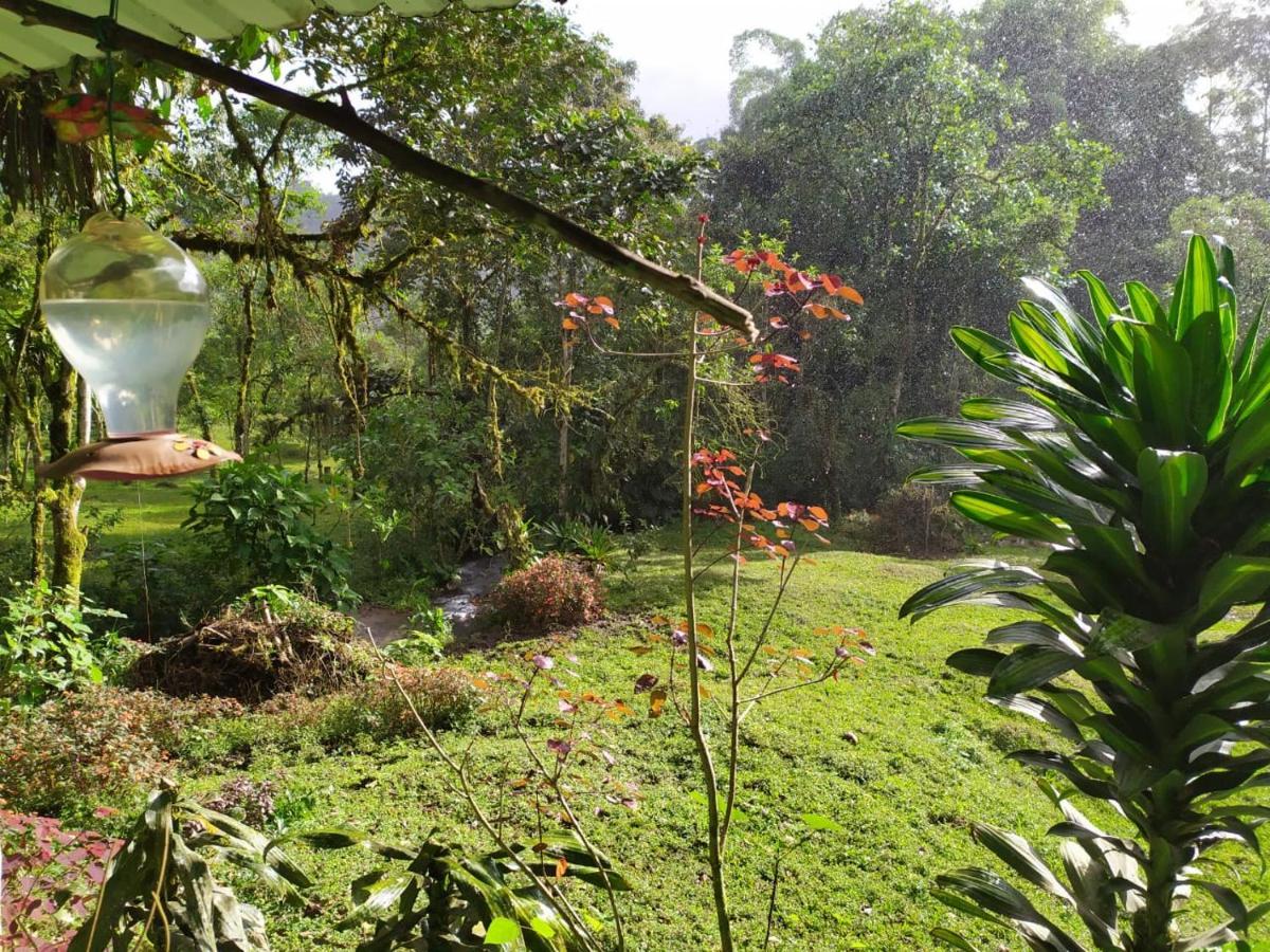 Mindo Eco Chalet Con Rio Y Cascada Ngoại thất bức ảnh